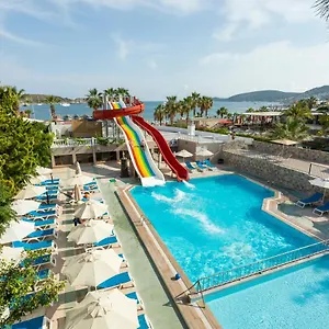 book here